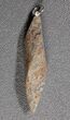 Agatized Dinosaur Bone Twist Pendant #22524-2